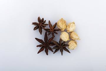 some types of herbs are usually used for seasoning, isolated white backgrounds