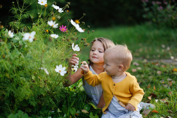Children siblings examine flowers meadow, summer