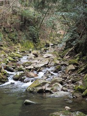 山奥を流れる川の源流（三重県名張市赤目四十八滝）