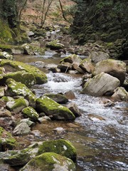 山奥を流れる川の源流（三重県名張市赤目四十八滝）
