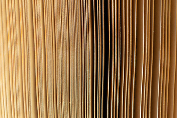 close up of book pages in warm light