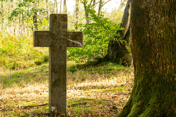 history cross in forest