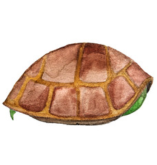 Watercolor hand painted little sleeping cute turtle