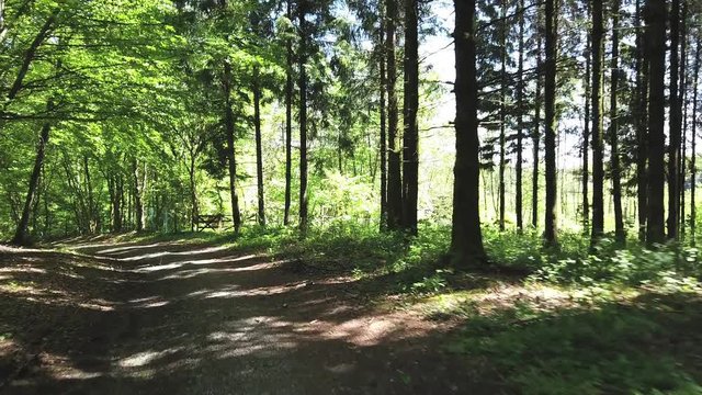 Wallonie bois foret Belgique environnement