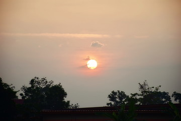 The sun