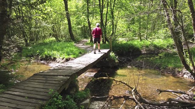 Belgique Wallonie balade bois nature eau 