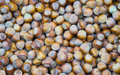 Hazelnut background reflex