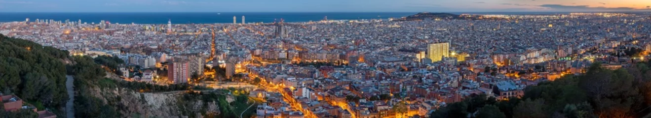 Poster Barcelona - The panorama of the city with the at the dusk. © Renáta Sedmáková
