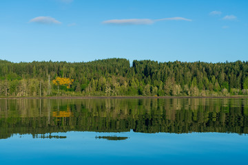 Annas Bay On Hood Canal, Puget Sound