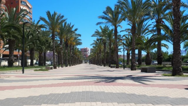 Alicante parques y jardines emblem&aacute;ticos