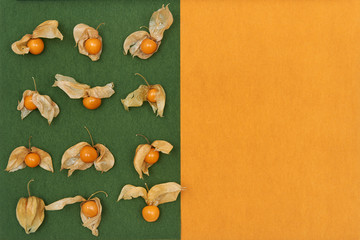 orange physalis berries on a green and orange background