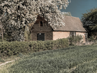 Old house on country © Tomasz