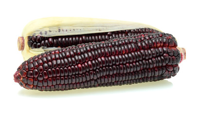 fresh purple corn isolated on a white background