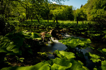 Sch&ouml;ner Natur Bach in der Eifel