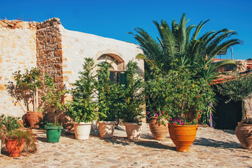 Plants and flowers in pots outdoor the old house. Greece. Crete.