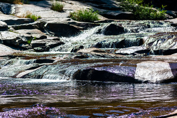 waterfall in the forest