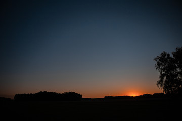 Dark silhouette of trees and woods against the background of sunset in the evening. Nature, forest, field, sky at sunset.