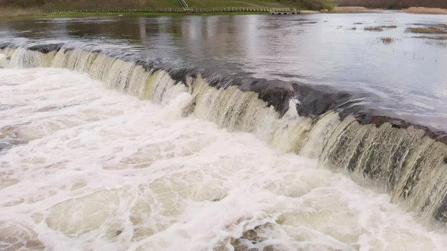 Jumping migrating vimba fish for breeding at Venta Rapid waterfalls in slow motion