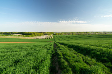 Obstb&auml;ume Mundelsheim
