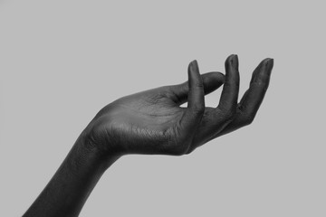 Black female hand holding something invisible, isolated objects on a gray background. Panorama with a copy of the space, black-and-white photo