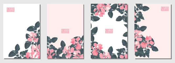 Set of pink Royal Poinciana flowers card template for 4 pages