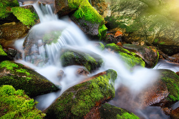 Mountain forest creek cascading and flowing through moss-grown rocks 
