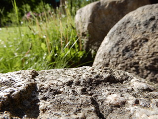 stones in the grass