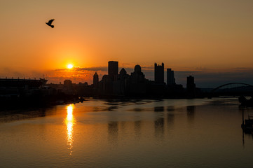 Naklejka premium Pittsburgh Sunrise over River with Bird