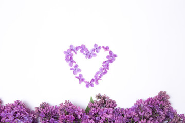Heart made of fresh spring violet lilac flowers on the white background isolated. Top view. Free copy space. Horizontal image. Green leaves