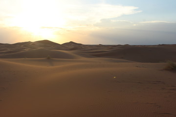 Plakat 気軽にサハラ砂漠が体験できる　メルズーガ（モロッコ）