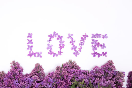 Text LOVE word made of violet fresh lilac flowers on the white background isolated. Free copy space. Top view. Horizontal image