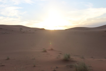 気軽にサハラ砂漠が体験できる　メルズーガ（モロッコ）