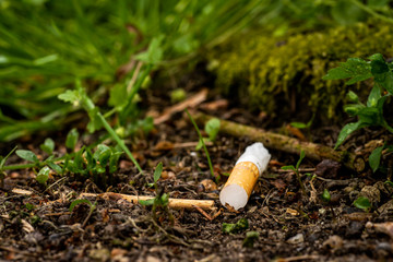 Cigarette butts tossed into the environment are toxic polluters