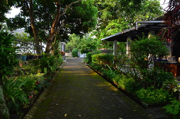 tropical garden with beautiful and unique plants