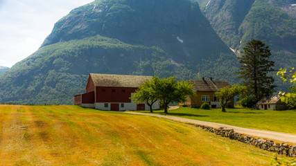 Norwegian farms near the village of Eidfjord