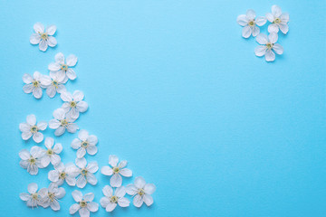 sheet for writing on a light blue background with cherry flowers