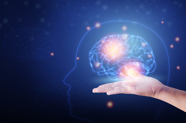Human head and brain.Abstract palm hands touching brain.Artificial Intelligence concept, Technology, concept.
