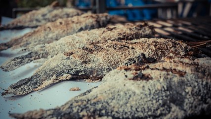 Fototapeta premium Row of big white dried fish on the table