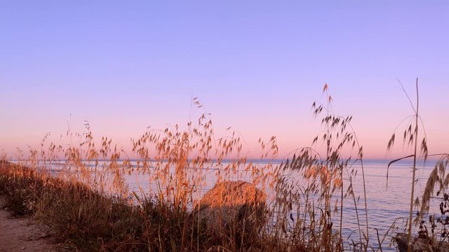 Puesta de sol en una playa mediterr&aacute;nea. Plantas movi&eacute;ndose por la acci&oacute;n suave del viento. 