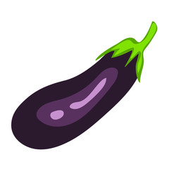 Vector de berenjena en fondo blanco