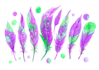 Watercolor purple feather set. Hand drawn illustration
