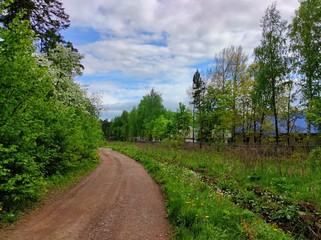 turn of a rural road near green trees and village houses against a blue sky with clouds in a beautiful landscape