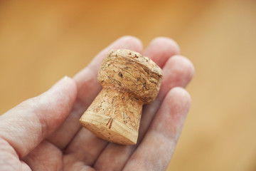 Man holding a wine cork in his hand