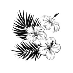 Composition with hibiscus and palm leaves. Vector botanical illustration