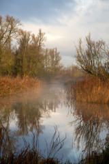 Dutch Biesbosch National Park in early morning light