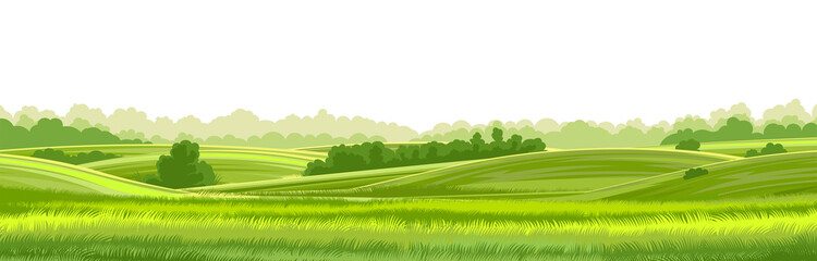 Fond de vecteur de paysage de collines rurales sur blanc. Herbe de pâturage pour vaches. Prairies et arbres. Horizon.
