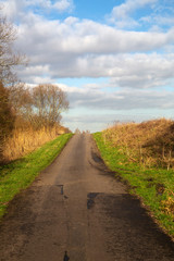 Naklejka premium Asphalt road climbing to top of dike, Biesbosch NP, Netherlands