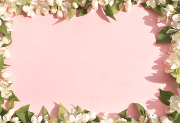 Flower background, white spring flowers on pink background. Space for text. The view from the top. Frame of flowers.