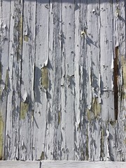 Distressed Wood Barn Peeling paint
