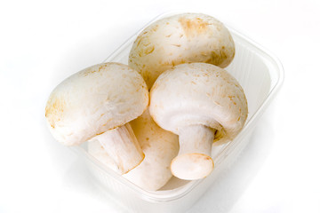 Fresh porcini mushrooms in a plastic transparent container on a white background.